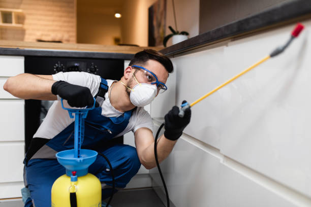 Best Wasp Removal Services  in Erath, LA