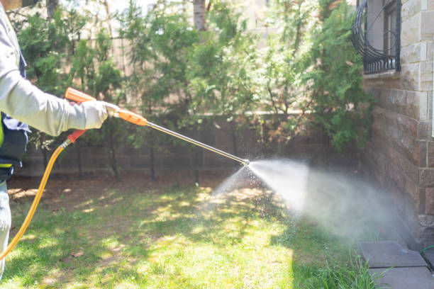 Trusted Erath, LA Pest Control Experts