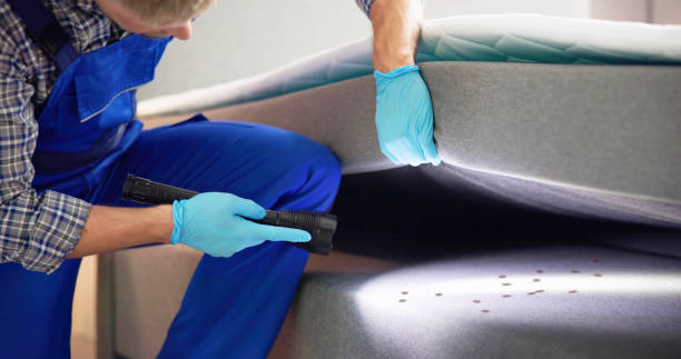 Best Affordable Pest Control Services  in Erath, LA