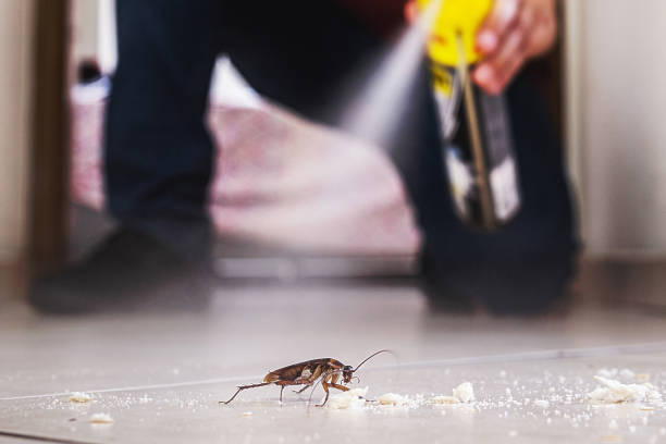 Best Local Pest Control Services  in Erath, LA