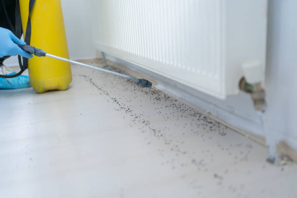 Best Commercial Pest Control Services  in Erath, LA