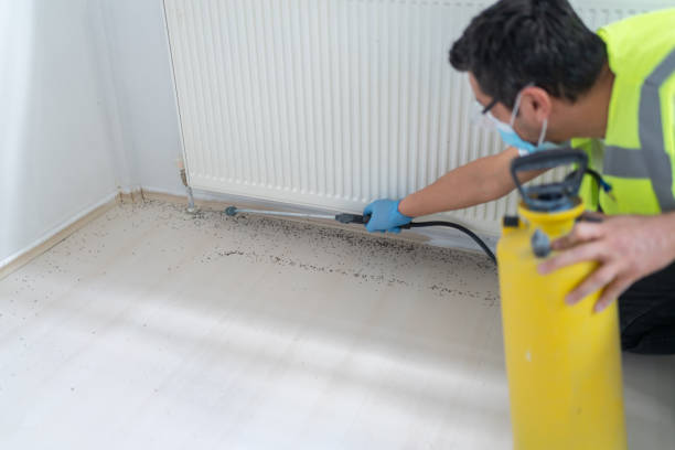 Best Emergency Pest Control  in Erath, LA