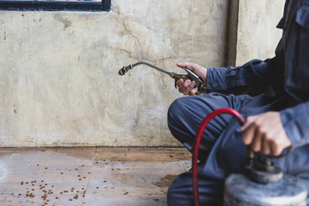 Best Cockroach Control Services  in Erath, LA