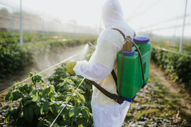 Best Best Pest Control Companies  in Erath, LA